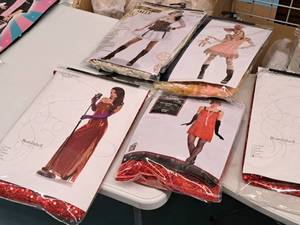 lot 1201 image: Lot of (4) Adult LargeX-Large to 16  Womens Costumes