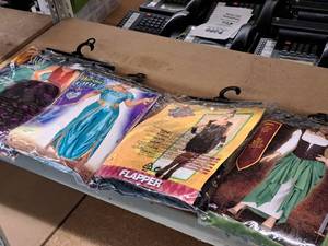 lot 1204 image: Lot of (4) Adult X-Large 18-22  Womens Costumes