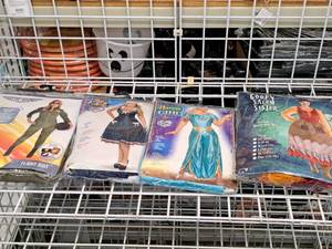 lot 1205 image: Lot of (4) Adult X-Large 18-22  Womens Costumes