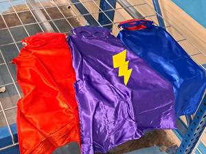 lot 1241 image: Lot of (3) Dog Capes
