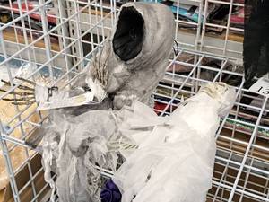 lot 1349 image: Lot of (2) l Hanging Halloween Dcor Props