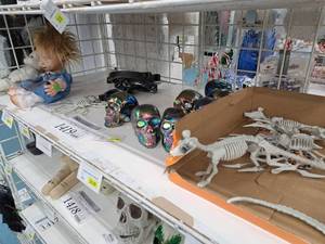 lot 1419 image: Assorted Halloween Dcor - Animal Skeleton, Skulls, Dolls