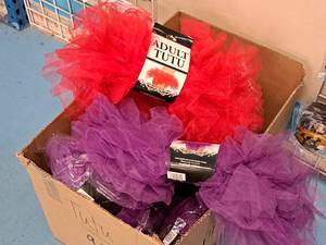 lot 1434 image: Lot of (11) Adult Tutu Costumes