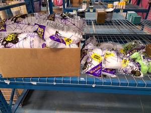 lot 1436 image: Lot of (1 Box) Halloween Dcor - Spider Webbing