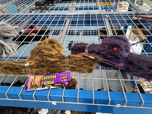 lot 1437 image: Lot of (2) Halloween Dcor Props - Spiders