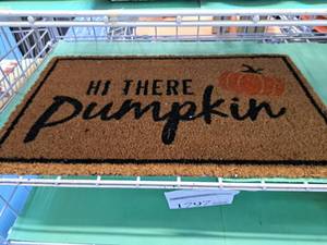 lot 1797 image: Hi There Pumpkin logo Floor Mat 18x29
