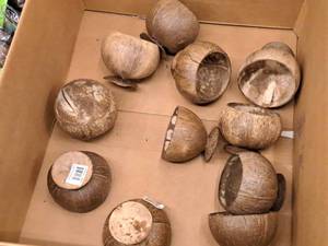 lot 2201 image: Lot of (11) Coconut Cups