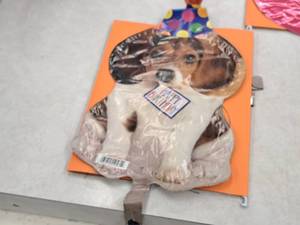 lot 2646 image: Lot of (10) Balloons - Happy Birthday Puppy 8x16
