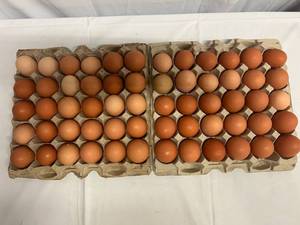 lot 406 image: 60 Free Range Eggs