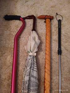 lot 112 image: Umbrellas, Canes & Shoe Horn