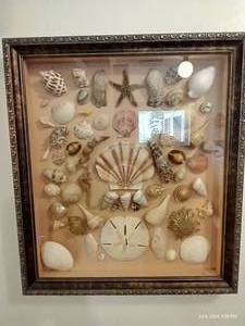 lot 189 image: Large Frame of Sea Shells