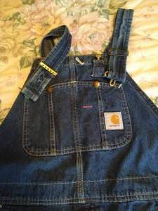 lot 301 image: Carhartt 38x32 Overalls, Barely Used
