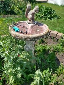 lot 365 image: Squirrel Bird Bath w Water Heater