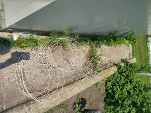 lot 366 image: Six Plant Supports