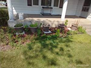 lot 547 image: Lot of Five Large Matching Planters