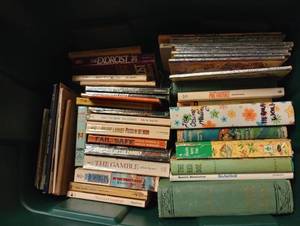 lot 702 image: Childrens Book Lot- Little Golden Books, Mysteries, Adventures