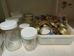 lot 731 image: Wide Mouth Jars w Reusable Lids & Rims