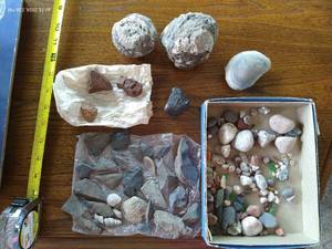 lot 868 image: Assorted Rocks, Shells & Arrow Heads