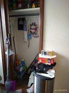lot 869 image: Cleaning Closet- Trash Can, Shark Steamer, Products, Mops