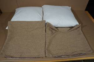 lot 255 image: 2 Throw Pillows with Covers