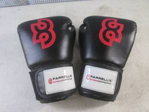 lot 24 image: (CSB) Ferrells Extreme Bodyshaping Boxing Gloves 14oz