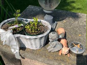 lot 446 image: BCK PRCH - Outdoor Garden Decor Lot Planter Basket With Plants, Cherub Statuette, Squirrel Figurine, Butterfly Decoration