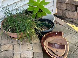 lot 448 image: BCK PRCH - Assorted Outdoor Planters with Plants