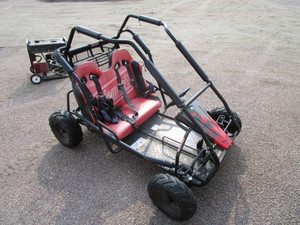 lot 25 image: Coleman Go Cart