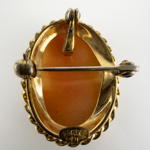 lot 126 image: WE Richards VINTAGE Cameo Gold Filled Brooch With Pendant.