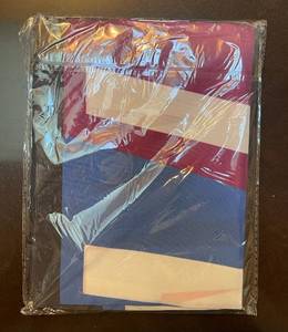 lot 38D image: Brand New 3 x 5 If You Aint First Youre Last Talladega Nights Nascar Movie Flag O