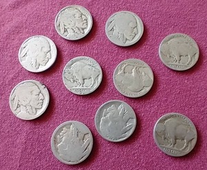 (10) Buffalo Nickels