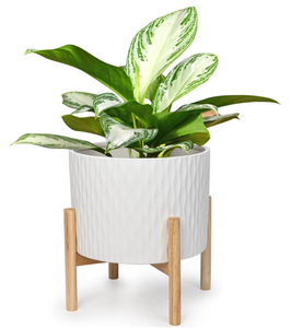 lot 318 image: LaDoVita Ceramic Plant Pot with Stand, 8 Inch Planter with Wood Shelf