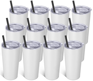 lot 418 image: 12PCS VEGOND 20oz Tumbler Bulk with Lid and Straw