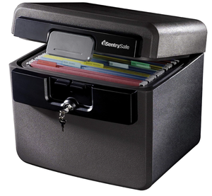 lot 575 image: SentrySafe Black Fireproof and Waterproof Safe with Key Lock