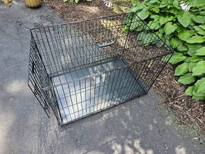 lot 91 image: Large Rugged Cage Dog Crate