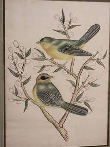 lot 83 image: Beautiful Fine Art Avian Print Pair - Sparrows