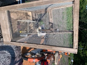 Bird cage