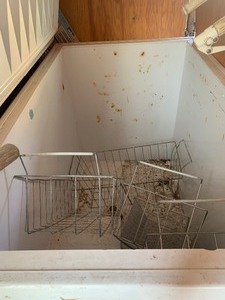 Coronado Chest freezer, works