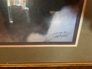 Horse pictures