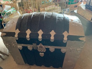 Trunk