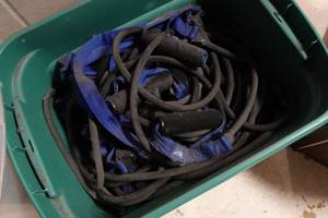 Elastic Bands for Arm Exercise