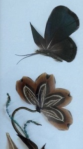 lot 33 image: Fine Feather Art by Krause
