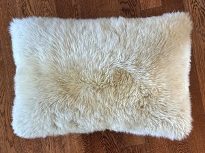 lot 35 image: Four Fantastic Accent Pillows by Room and Board
