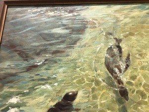 lot 85 image: Excellent Vintage Oil on Canvas Painting - Como Zoo Seals by Saint Paul Artist Betty Sievert