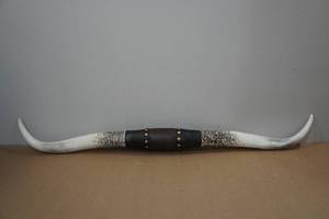 lot 254 image: Resin Texas Long Horns