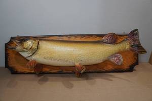 lot 4 image: Huge 40 Northern Pike Mount