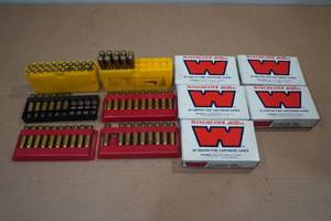 lot 163 image: 6mm Rem Casings and Ammo