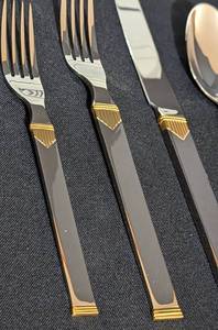 Mikasa Gold Directions Flatware Set