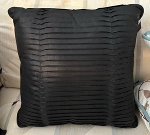 Two Sleek Black Accent Pillows