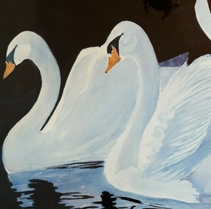 Stunning Swan Print by Pedersen